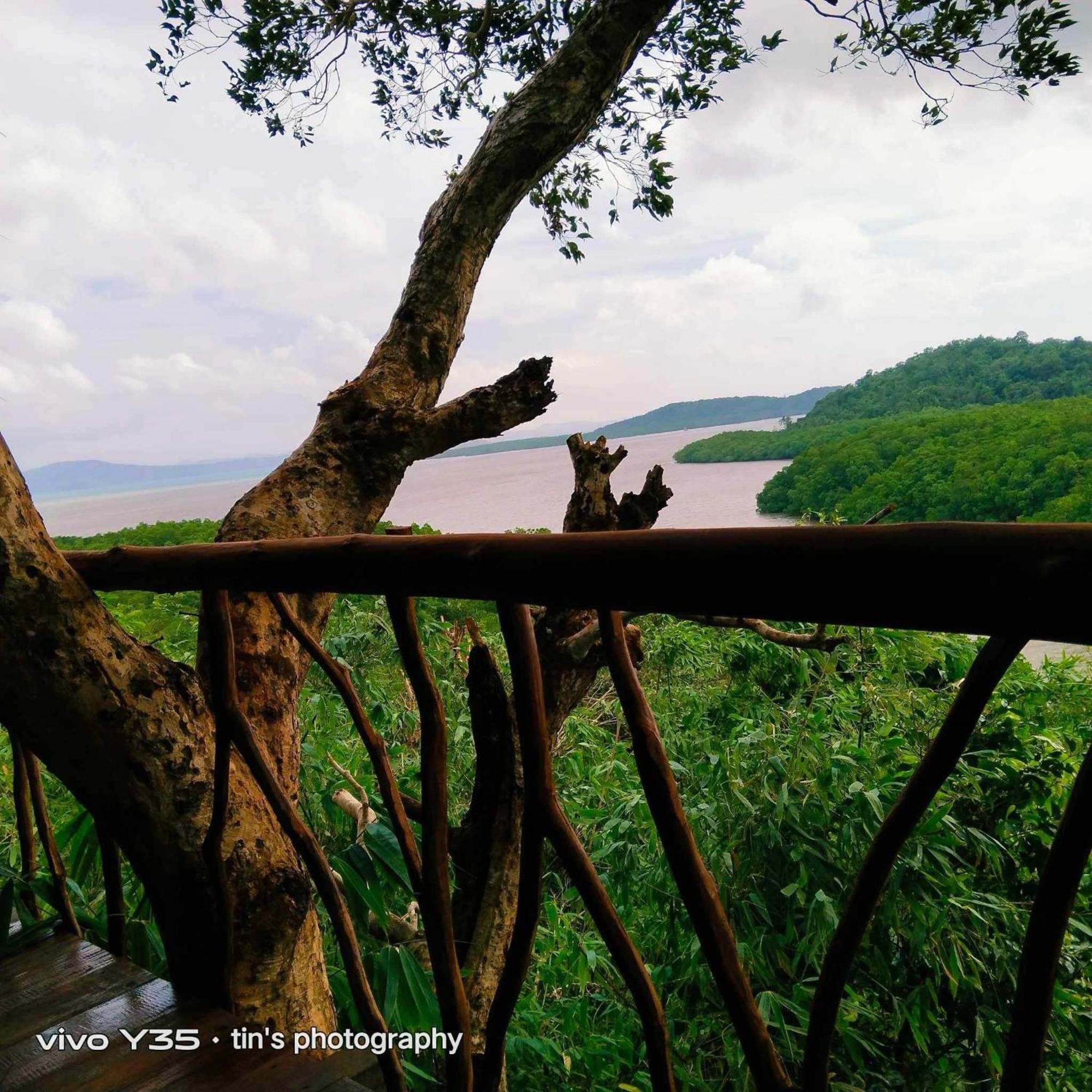 Sanctuaria Treehouses Busuanga Zewnętrze zdjęcie