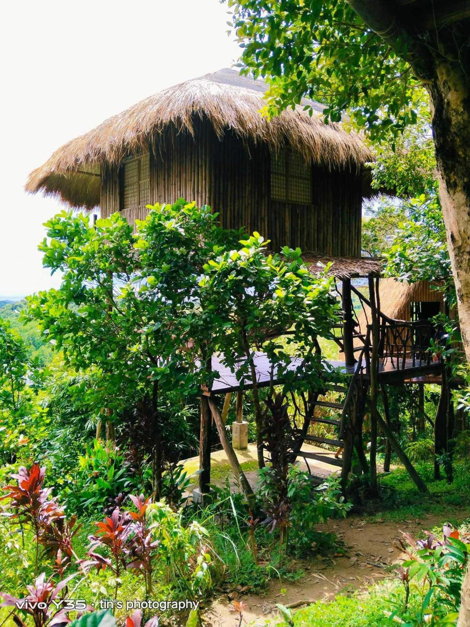 Sanctuaria Treehouses Busuanga Zewnętrze zdjęcie