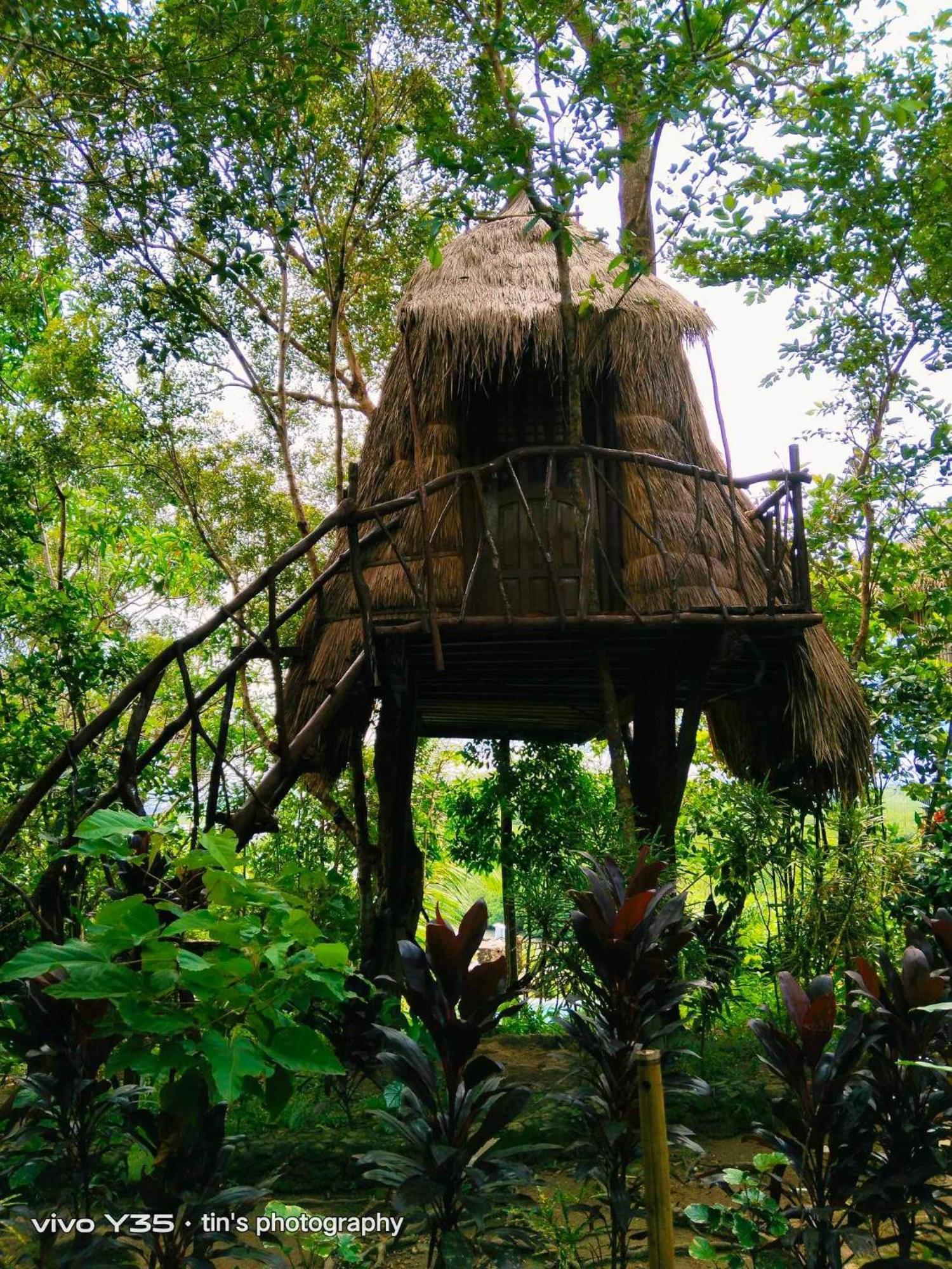 Sanctuaria Treehouses Busuanga Zewnętrze zdjęcie