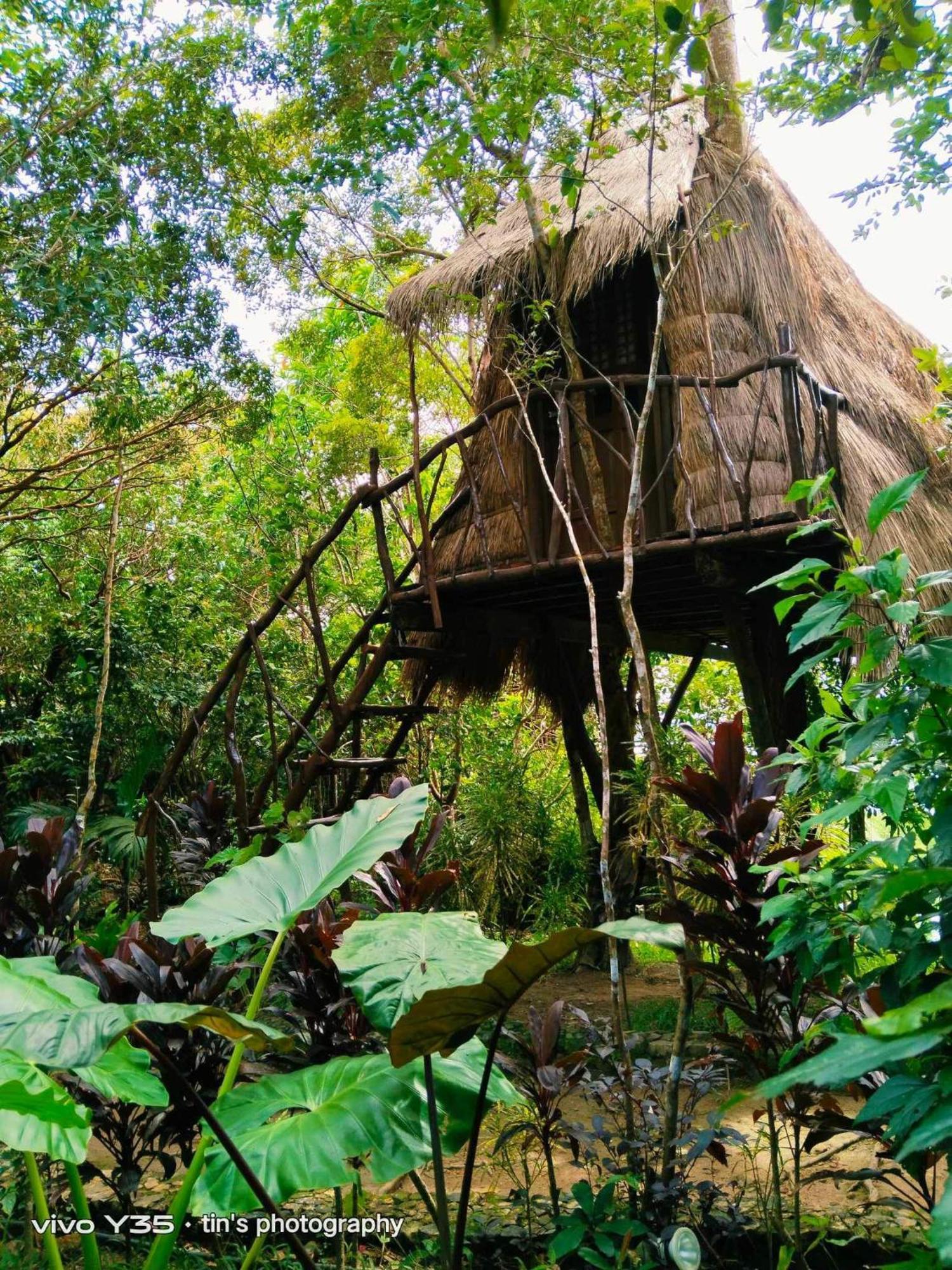 Sanctuaria Treehouses Busuanga Zewnętrze zdjęcie