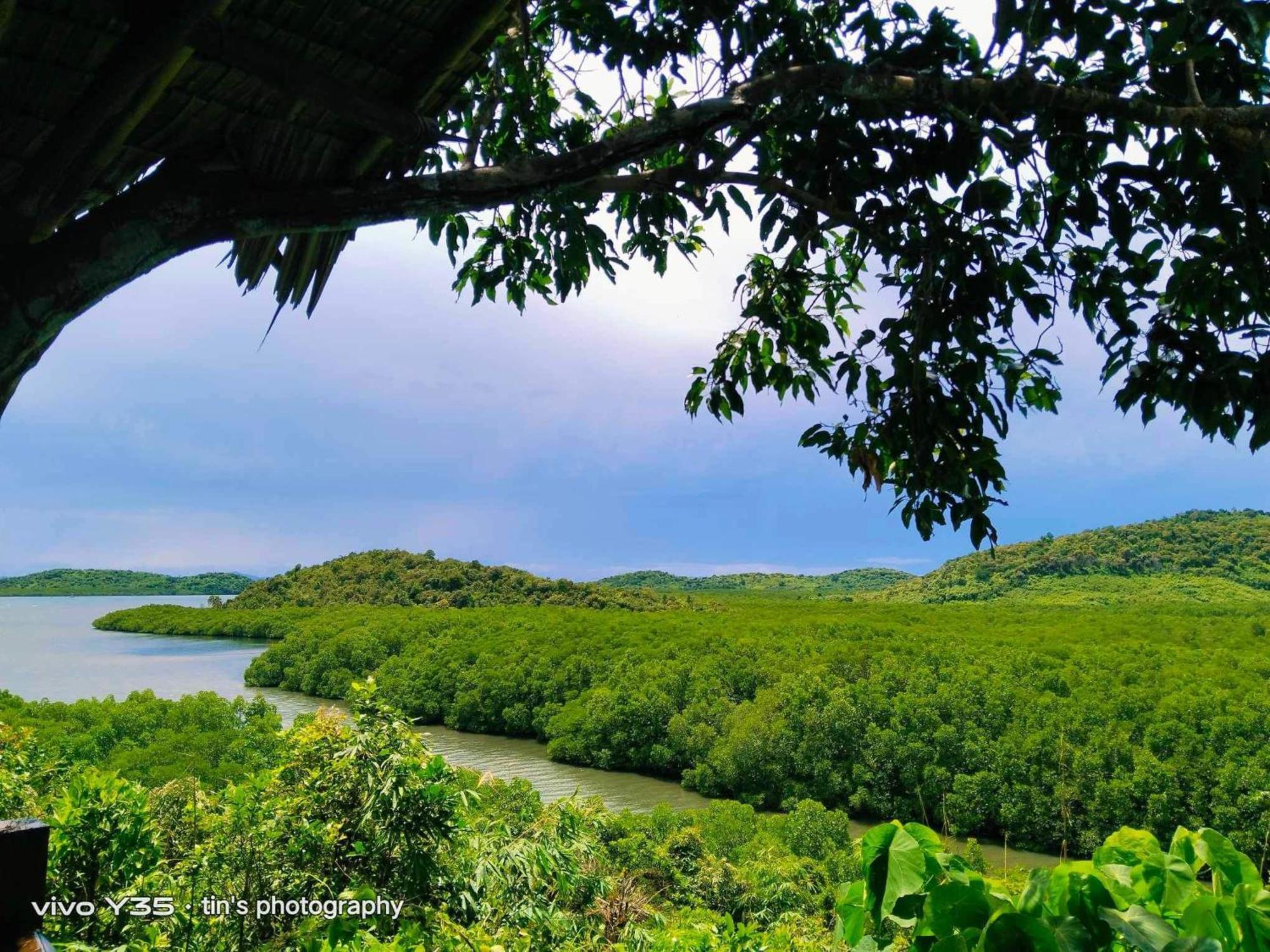 Sanctuaria Treehouses Busuanga Zewnętrze zdjęcie