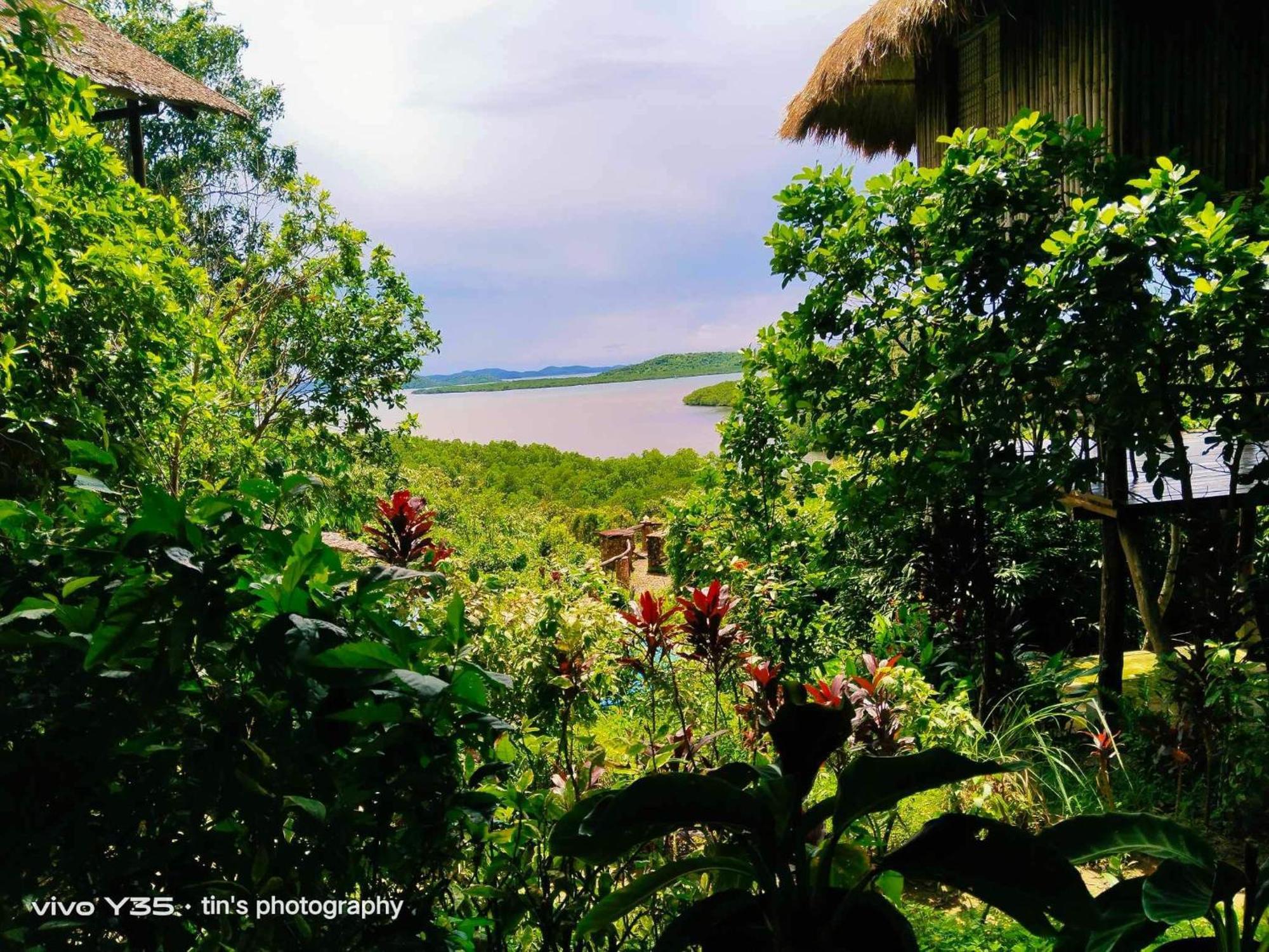 Sanctuaria Treehouses Busuanga Zewnętrze zdjęcie