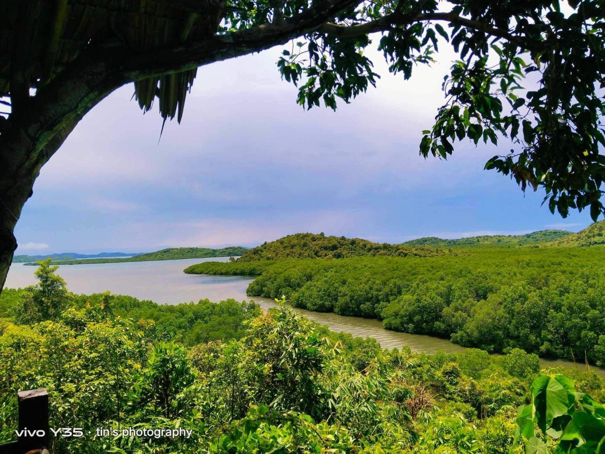 Sanctuaria Treehouses Busuanga Zewnętrze zdjęcie