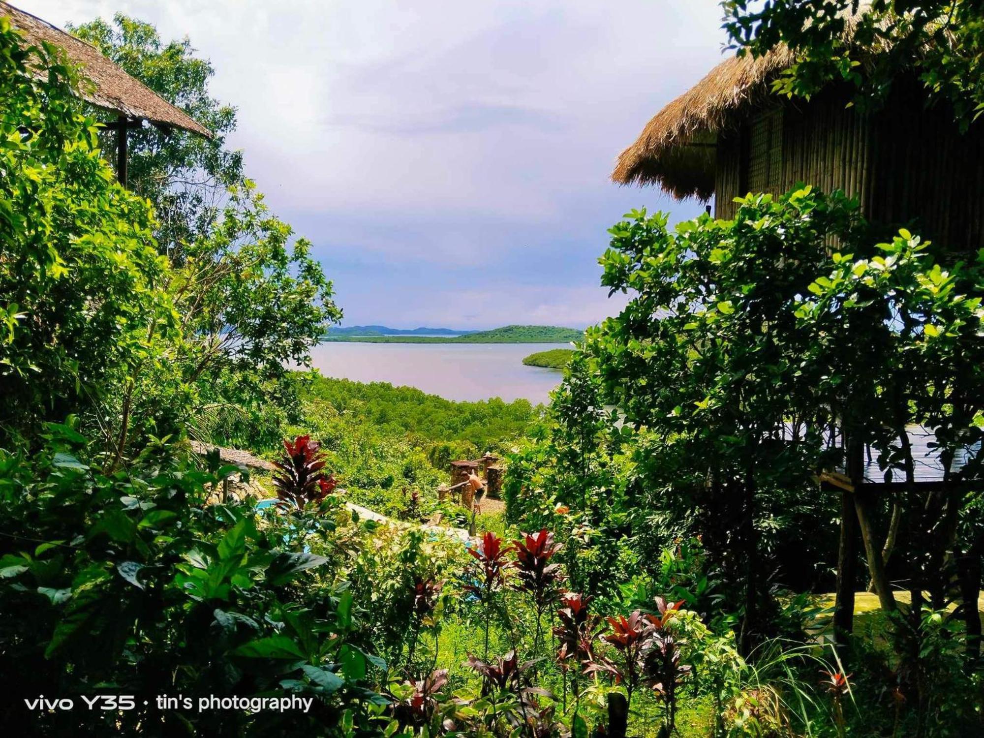 Sanctuaria Treehouses Busuanga Zewnętrze zdjęcie