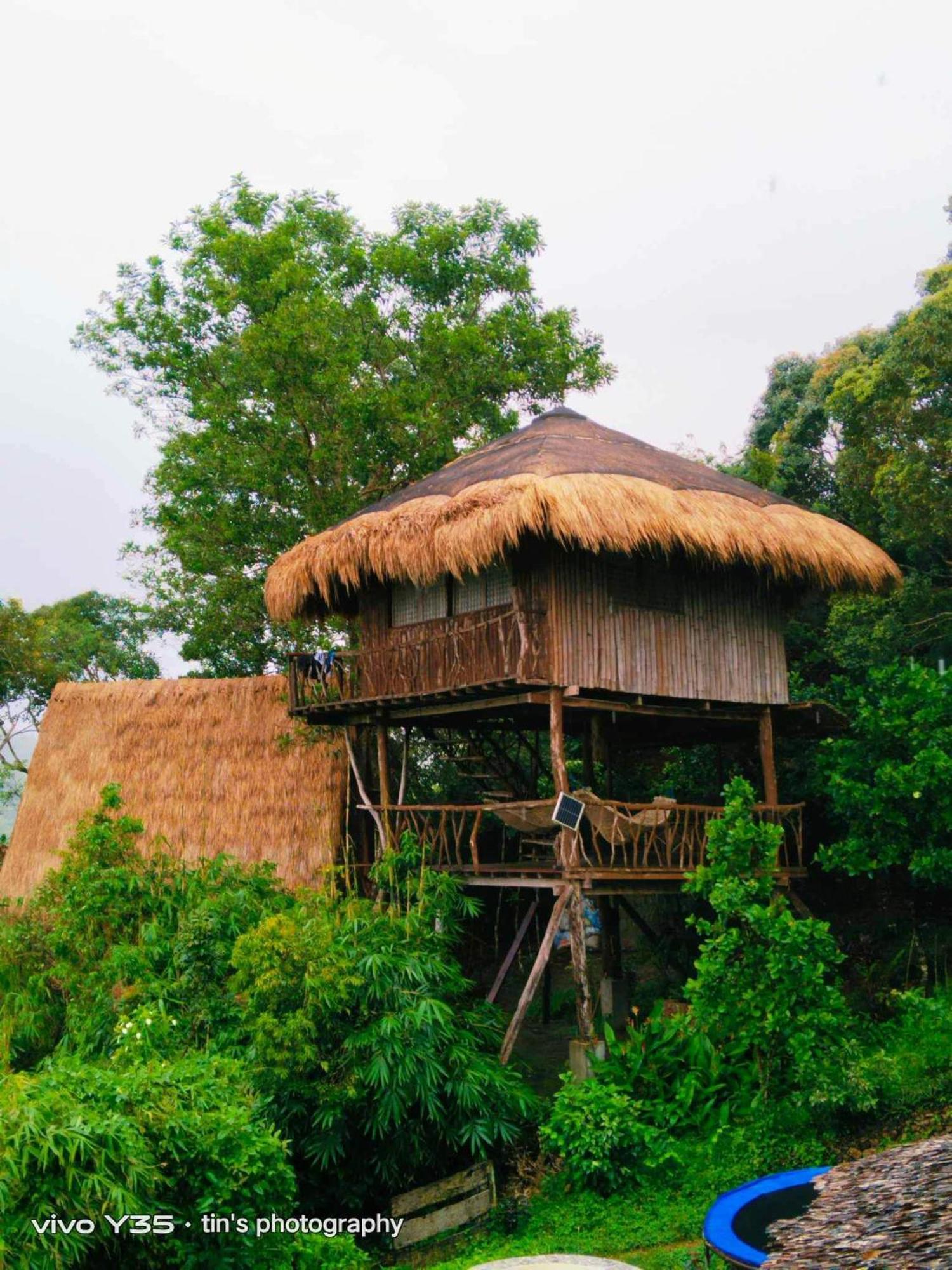Sanctuaria Treehouses Busuanga Zewnętrze zdjęcie